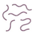 Set of earthworms. Cartoon flat illustration.