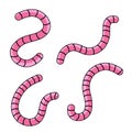 Set of earthworms. Cartoon flat illustration. Crawling insects.