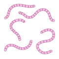 Set of earthworms. Cartoon flat illustration.