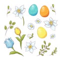 Set of Easter design elements. Eggs, tulips, flowers, willow, branches, basket, tulips, narcissus. Perfect for holiday Royalty Free Stock Photo