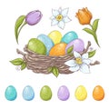 Set of Easter design elements. Eggs, tulips, flowers, willow, branches, basket, tulips, narcissus. Perfect for holiday Royalty Free Stock Photo