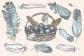 Set of Easter eggs and realistic bird feathers. Vintage engraving style. Engraved folk style. Greeting card. Line art Royalty Free Stock Photo