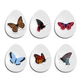 Set of Easter eggs with stickers of butterflies. collection of e