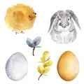 Set of Easter white bunny, chicken, egg and pussy willow Royalty Free Stock Photo