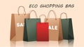 A set of eco-craft shopping bags. vector illustration
