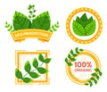 Set of eco-friendly badges with green leaves. Environmental labels, 100 organic, eco production. Sustainable and green