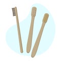 Set of eco-friendly bamboo toothbrushes isolated on white background. Natural organic bathroom beauty product.