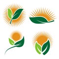 Set Ecology logos of green leaf nature element icon on white background . illustrator Royalty Free Stock Photo