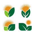 Set Ecology logos of green leaf nature element icon on white background . illustrator