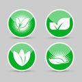 Set ecology logos of green leaf nature element icon on white background .vector illustrator Royalty Free Stock Photo