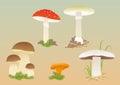 Set of edible and inedible mushrooms