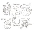 Set of edible mushrooms with elements and titel,delicious autumn.Black and white vector illustration Royalty Free Stock Photo