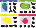 Set of educational game for kids, find the correct shadow of grapes, kiwi, lemon, raspberry,. Vector illustration Royalty Free Stock Photo