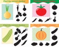 Set of educational game for kids, find the correct shadow of vegetables. Vector illustration Royalty Free Stock Photo