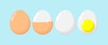 Set Of Eggs boiled eggs, half peeled, peeled, sliced, Funny cartoon Cute chicken egg , healthy food concept, icon comic character Royalty Free Stock Photo