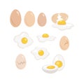 Set of eggs on white background. Vector illustration large and small eggs, broken, whole and cracked, boiled and gray in cartoon Royalty Free Stock Photo