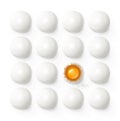 Set of eggs with yolk and shell