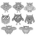 Set of eight amusing owls