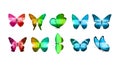 Set of eight colored butterflies isolated on a white background