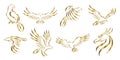 Set of eight line art vector logo of golden eagle
