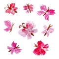 Set of eight pink abstract watercolor butterflies, isolated on a white background. Many different simple butterflies, beautiful Royalty Free Stock Photo