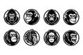 Set of Eight Primate Head Emblems - Gorillas and Chimpanzees Royalty Free Stock Photo