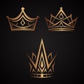 Set of elegance crowns icon vector on the black background Royalty Free Stock Photo