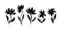 Set of elegant black ink drawing daisy flowers Royalty Free Stock Photo