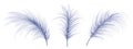 A set of elegant fluffy blue feathers with decorative crystals. An element for theatrical costumes, carnival outfits, hats,