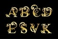 Set of elegant letters. Graceful luxury style. Calligraphic beautiful logo.