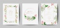 Sada skládající se z elegantní veselý a nový 2020 karty borovice věnec jmelí rostliny ilustrace 