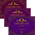 Set of elegant templates of diploma with lace ornament
