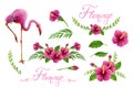 Set element. Hand drawn watercolor paintings with pink flamingo, foliage and Hibiscus rose flowers isolated on white background. Royalty Free Stock Photo