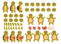 Set of elements for animating cute turtle