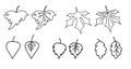 Set of elements of the autumn season. Black line drawings of various leaves. Leaves-outline and leaves with veins. Use