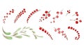 A set of elements from bunches of red berries and leaves