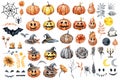 Set of elements for design of the holiday Happy Halloween, good and evil pumpkin, witch hat, bat, sunflowers flowers Royalty Free Stock Photo