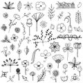 Set of elements flower doodle hand drawn sketch in black line on white isolated