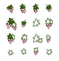 Set of elements of grape berries and leaves. Doodles, flat design. Vector