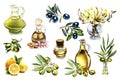 Set of elements for label design, watercolor illustrations of olive branches and bottles with olive oil Royalty Free Stock Photo