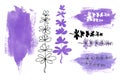 Set of elements from lilac purple spots and lavender flowers isolated on a white background. Handmade watercolor illustration for