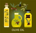 Set of the elements. Olives, olive oil, branch Royalty Free Stock Photo