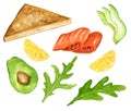 Set elements toast, fish, avocado, lemon and herbs. Cooking breakfast, lunch, dinner. Hand drawn watercolor illustration