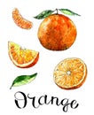 Set of elements of a whole orange, sliced, slices and lettering Orange on a white background. Drawn in watercolor