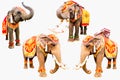 Set of elephan raising trunk ,elephant has beautiful and large isolated on white background. colorful painted elephant head ,