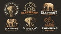 Set elephant logo - vector illustration, emblem on dark background