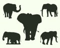 Set of 5 elephant silhouettes