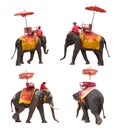 Set of elephant for tourists ride tour of the ancient city in Th Royalty Free Stock Photo