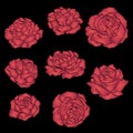 Set embroidery red rose on black background. Stock line vector Royalty Free Stock Photo