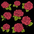 Set embroidery red rose with green leaves on black background. Royalty Free Stock Photo